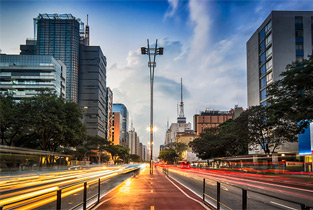 Associação Paulista Viva