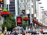 Primavera na Paulista